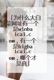 为什么大白菜网址有一个是winbaicai.com,有一个是bigbaicai.com,哪个才是真