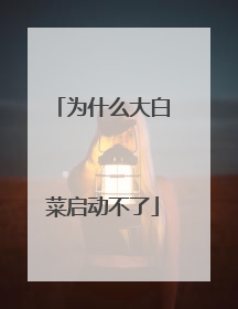为什么大白菜启动不了