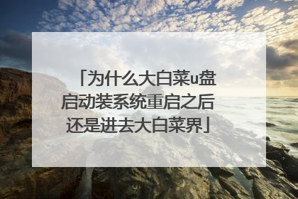 为什么大白菜u盘启动装系统重启之后还是进去大白菜界