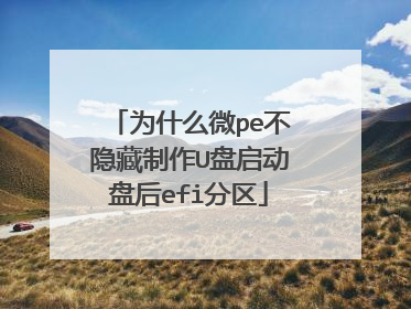 为什么微pe不隐藏制作U盘启动盘后efi分区