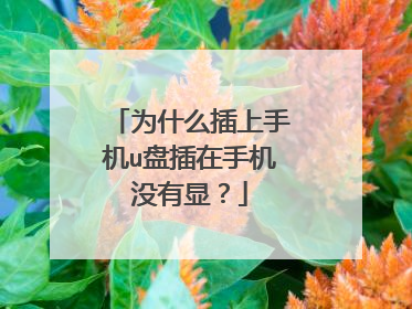为什么插上手机u盘插在手机没有显?