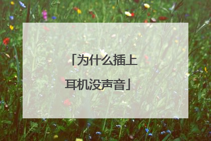 为什么插上耳机没声音