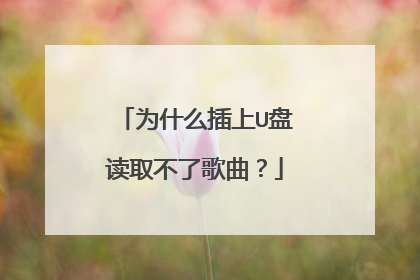 为什么插上U盘读取不了歌曲？