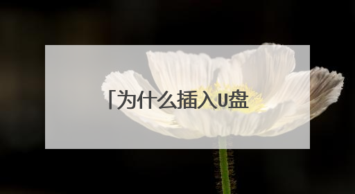 为什么插入U盘提示驱动器中没有软盘,请在驱动器中插入软盘