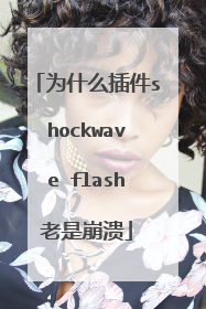 为什么插件shockwave flash老是崩溃