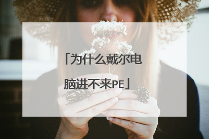 为什么戴尔电脑进不来PE