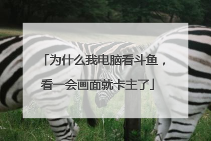 为什么我电脑看斗鱼,看一会画面就卡主了