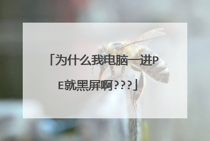 为什么我电脑一进PE就黑屏啊???