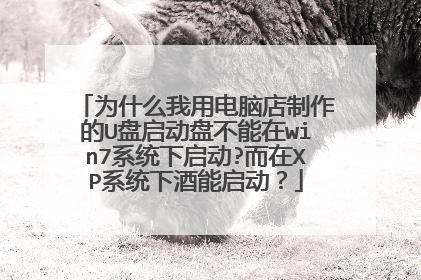 为什么我用电脑店制作的U盘启动盘不能在win7系统下启动?而在XP系统下酒能启动?