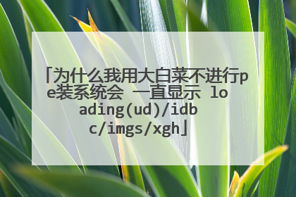 为什么我用大白菜不进行pe装系统会 一直显示 loading(ud)/idbc/imgs/xgh