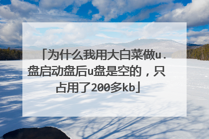 为什么我用大白菜做u.盘启动盘后u盘是空的，只占用了200多kb