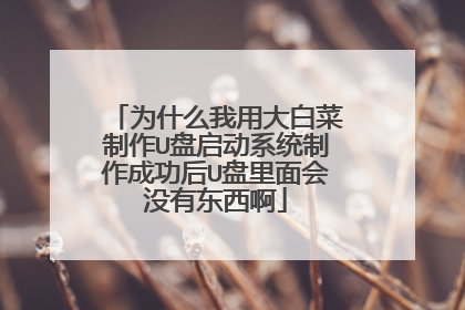 为什么我用大白菜制作U盘启动系统制作成功后U盘里面会没有东西啊