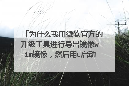 为什么我用微软官方的升级工具进行导出镜像wim镜像,然后用u启动pe系统通用安装器安装,安装后出现