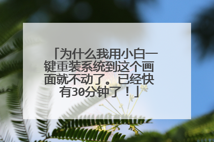 为什么我用小白一键重装系统到这个画面就不动了。已经快有30分钟了！