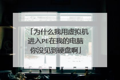 为什么我用虚拟机进入PE在我的电脑你没见到硬盘啊