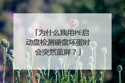 为什么我用PE启动盘检测硬盘坏蛋时会突然蓝屏?