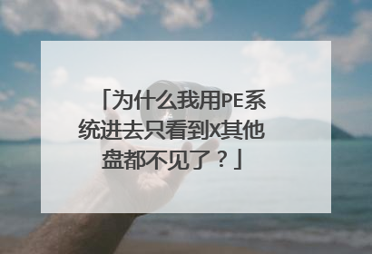 为什么我用PE系统进去只看到X其他盘都不见了?