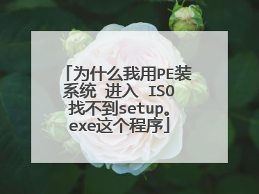 为什么我用PE装系统 进入 ISO找不到setup。exe这个程序