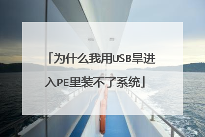 为什么我用USB旱进入PE里装不了系统