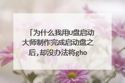 为什么我用U盘启动大师制作完成启动盘之后,却没办法将gho文件复制进去呢?