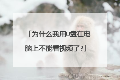 为什么我用U盘在电脑上不能看视频了?