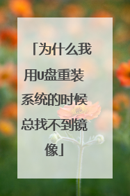 为什么我用U盘重装系统的时候总找不到镜像