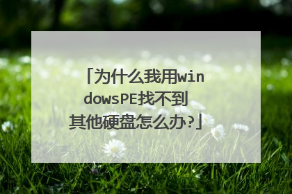 为什么我用windowsPE找不到其他硬盘怎么办?