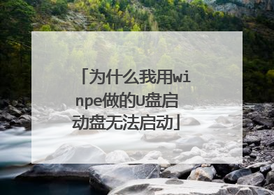 为什么我用winpe做的U盘启动盘无法启动