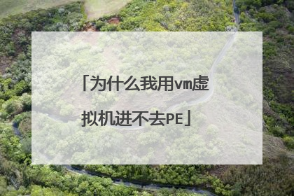 为什么我用vm虚拟机进不去PE