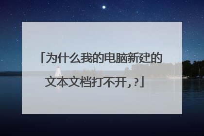 为什么我的电脑新建的文本文档打不开,?