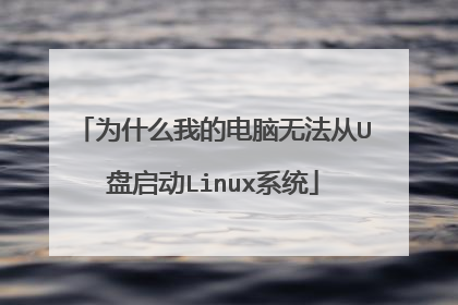为什么我的电脑无法从U盘启动Linux系统