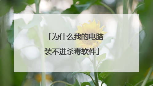 为什么我的电脑装不进杀毒软件
