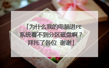 为什么我的电脑进PE系统看不到分区磁盘啊？拜托了各位 谢谢