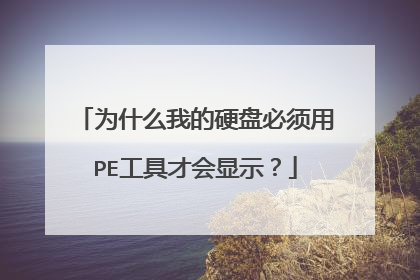 为什么我的硬盘必须用PE工具才会显示？