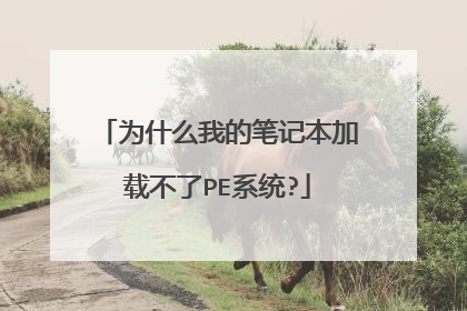 为什么我的笔记本加载不了PE系统?