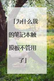 为什么我的笔记本触摸板不管用了