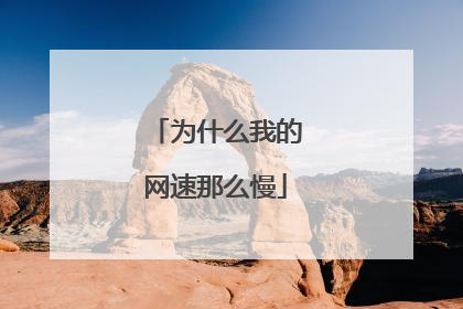 为什么我的网速那么慢