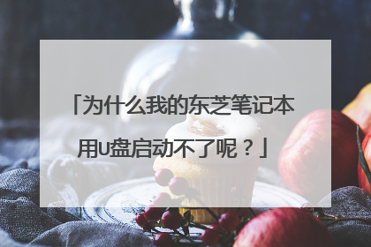 为什么我的东芝笔记本用U盘启动不了呢?