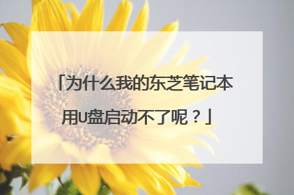 为什么我的东芝笔记本用U盘启动不了呢？