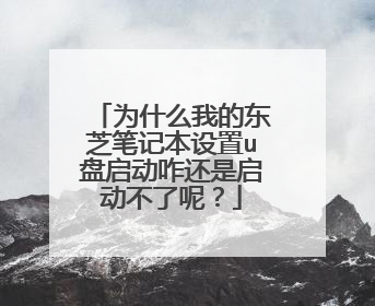 为什么我的东芝笔记本设置u盘启动咋还是启动不了呢?