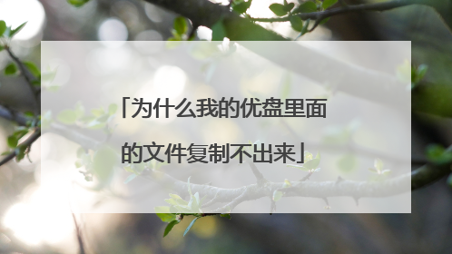 为什么我的优盘里面的文件复制不出来