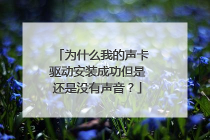 为什么我的声卡驱动安装成功但是还是没有声音？
