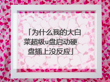为什么我的大白菜超级u盘启动硬盘插上没反应