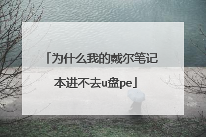 为什么我的戴尔笔记本进不去u盘pe