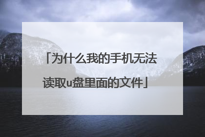 为什么我的手机无法读取u盘里面的文件