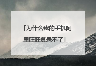 为什么我的手机阿里旺旺登录不了