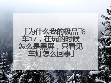 为什么我的极品飞车17,在玩的时候怎么是黑屏,只看见车灯怎么回事