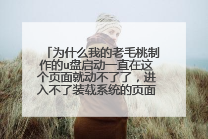 为什么我的老毛桃制作的u盘启动一直在这个页面就动不了了,进入不了装载系统的页面在还原分区页面