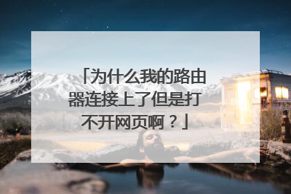 为什么我的路由器连接上了但是打不开网页啊？