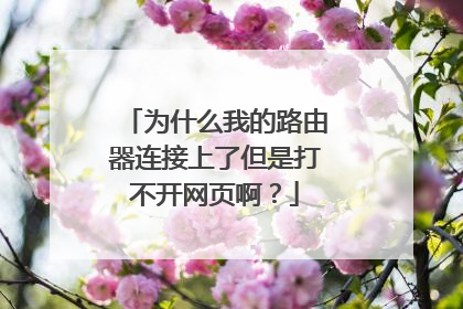 为什么我的路由器连接上了但是打不开网页啊?
